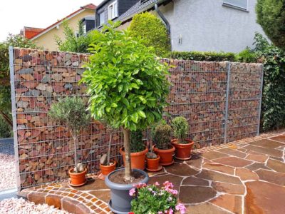 gabion