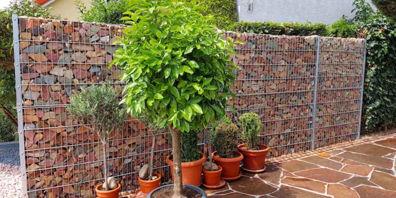 gabion